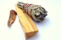 why palo santo is endangered